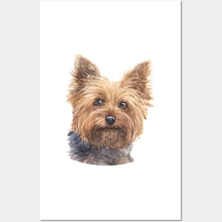 Yorkshire Terrier Watercolor Art Posters and Art